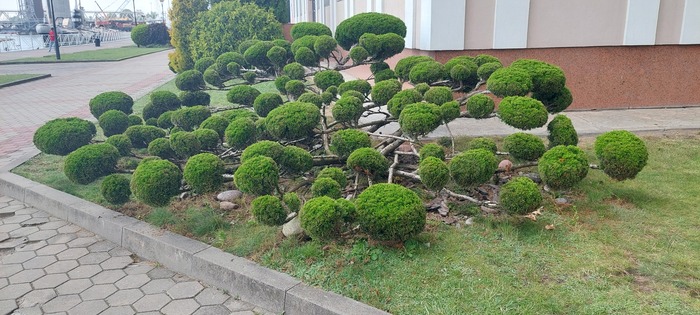 � ������ ��������. �� ��� ���
