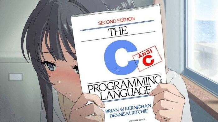  C++           ,      .     ,   ,   .