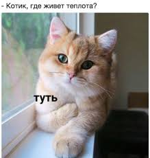   ?   ,   , , , , , , 