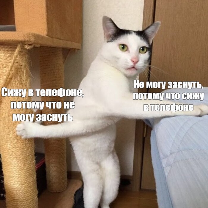   ,   , , , 