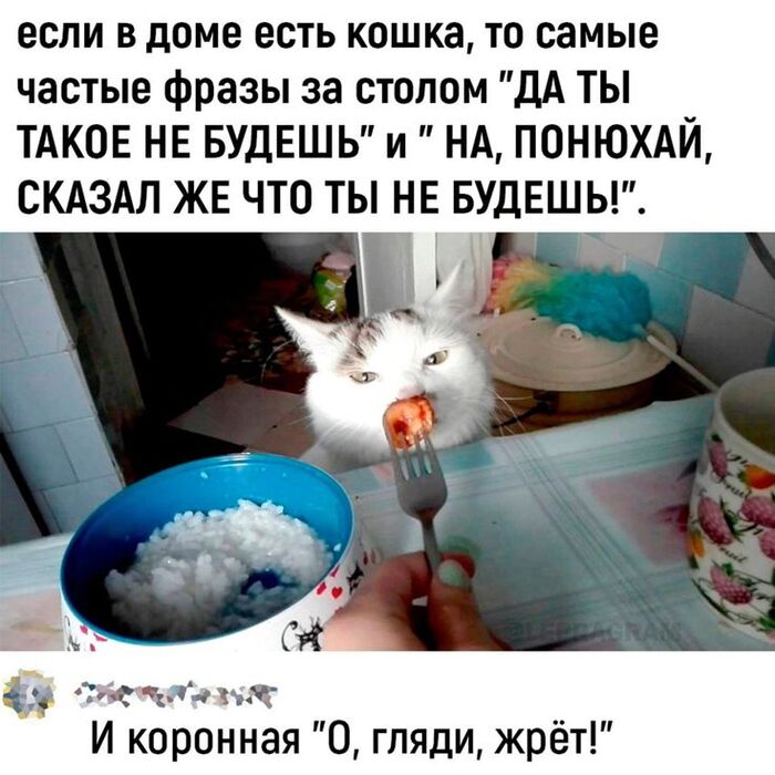 Жизненное