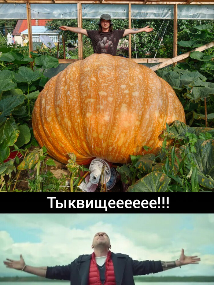       1000.  12 , , , ,  , , ,   ,  