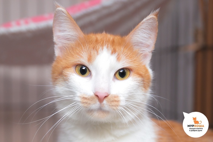   - 1 ,   .  .        - .  ,              .