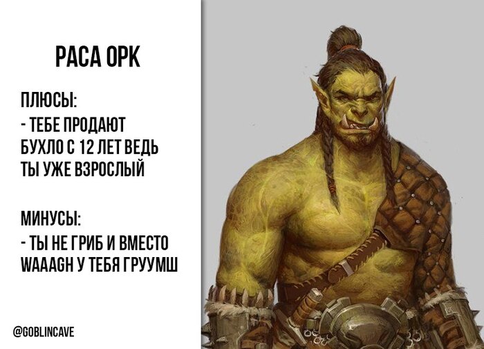      D&D | 7 -  DnD 5,  , Dungeons & Dragons,   ,  ,  , ,   ,  