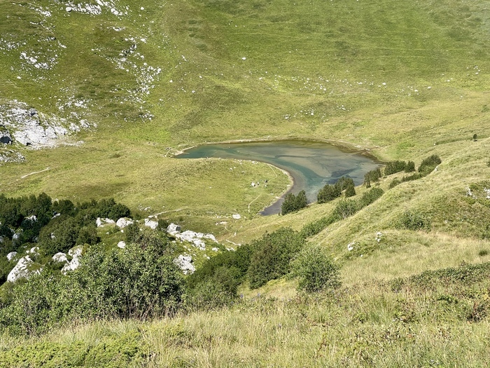 ����� ��������