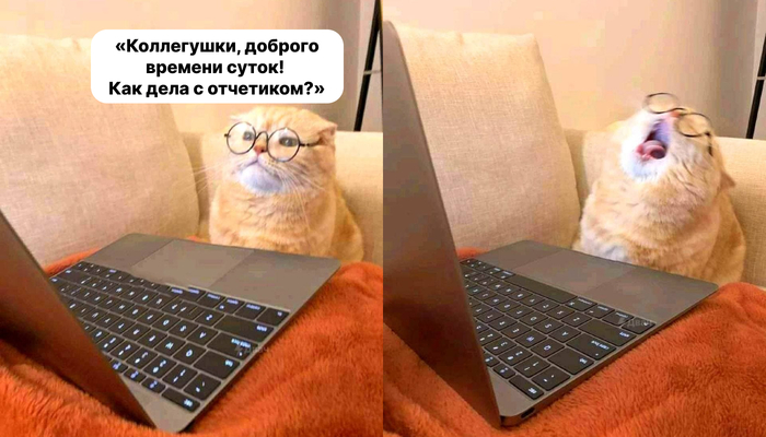 ,   -.  ,         , , , 