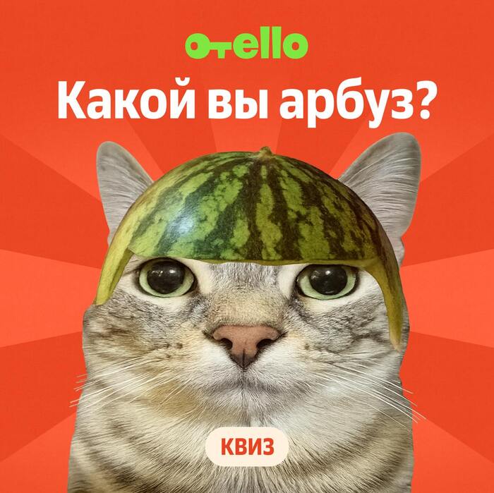    , , , ,   , , Telegram (),  