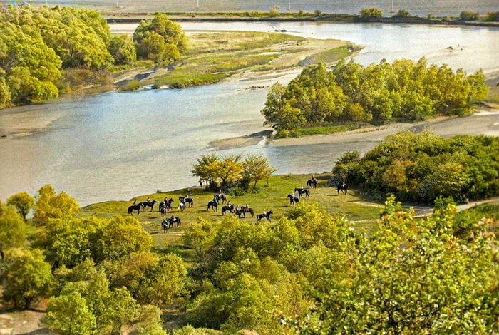 ��������: �. ������������