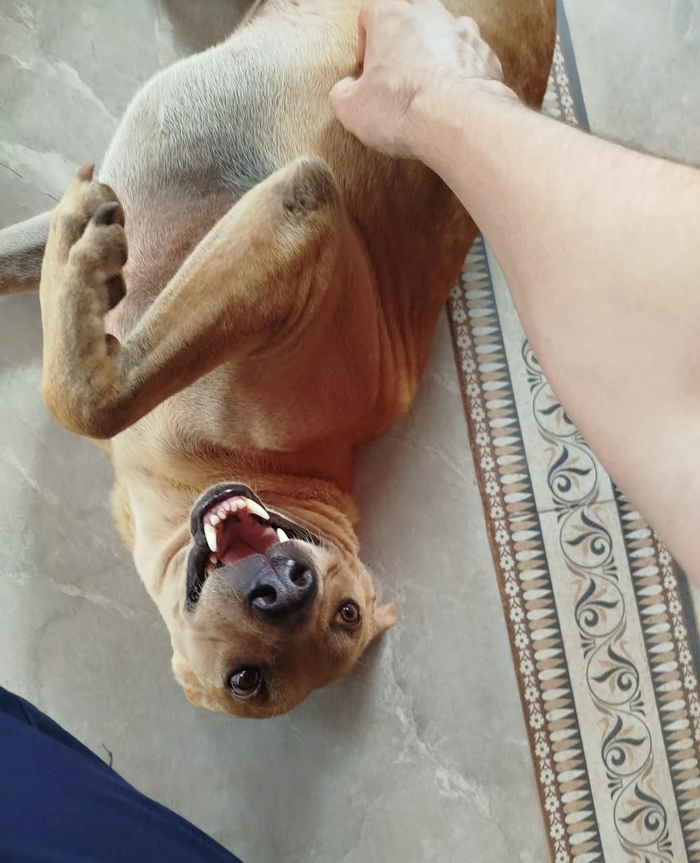 ��� ��������� ����� � �� �� ������� ��?