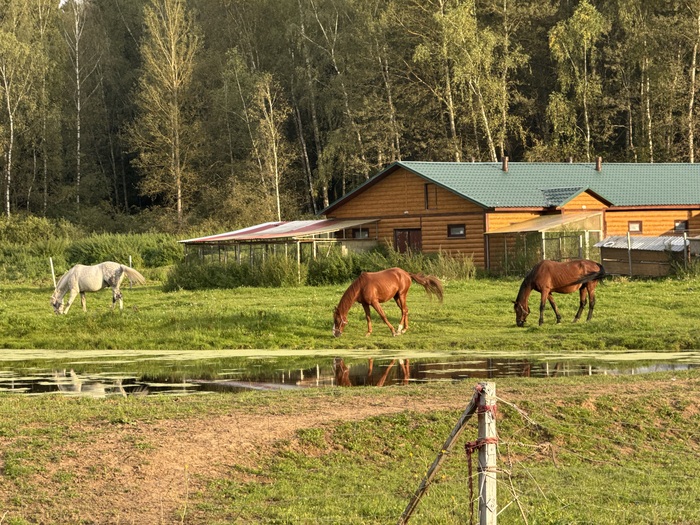       -      . ,           ,          .