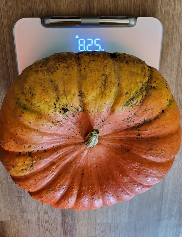       1000.  12 , , , , ,  ,  ,   
