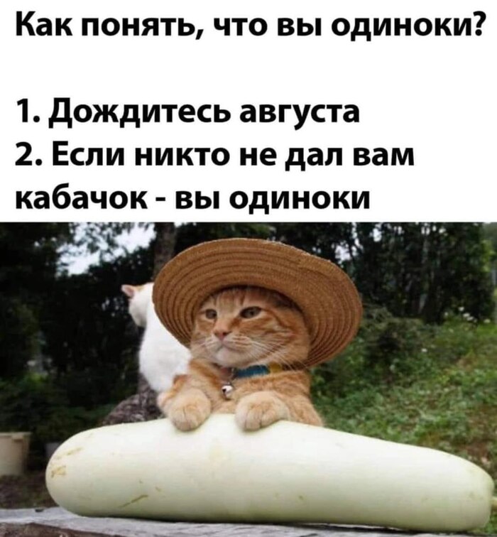 ... ,   , 