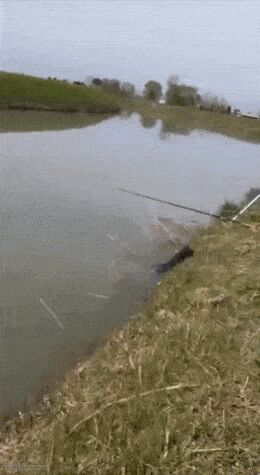   ! , , 