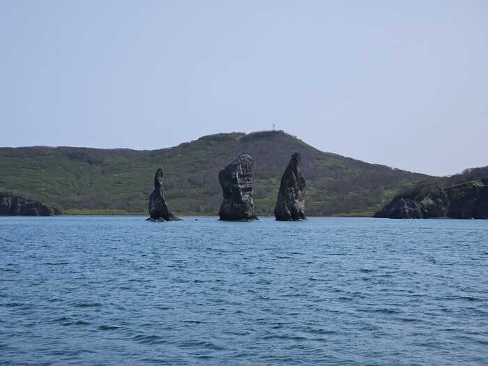 �������� �������� �������� ������� "��� �����".