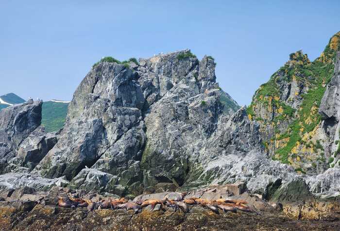 ������, ��� �� ������� ����.