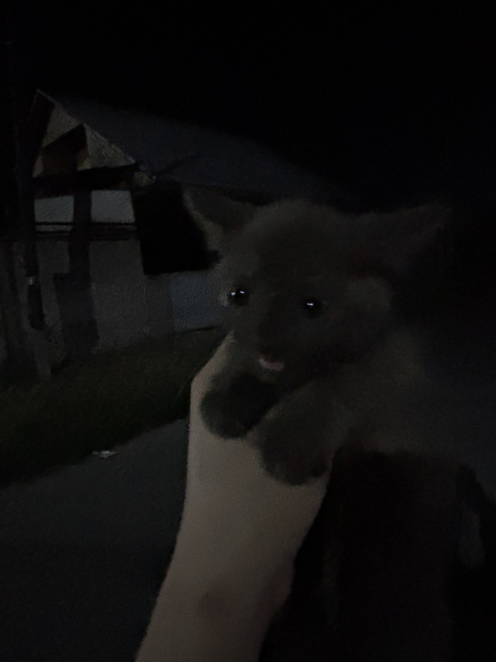 ,    , , ,   , , 