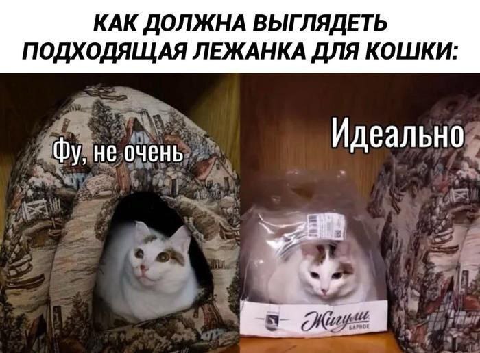     , , ,   ,  , AliExpress,  , 