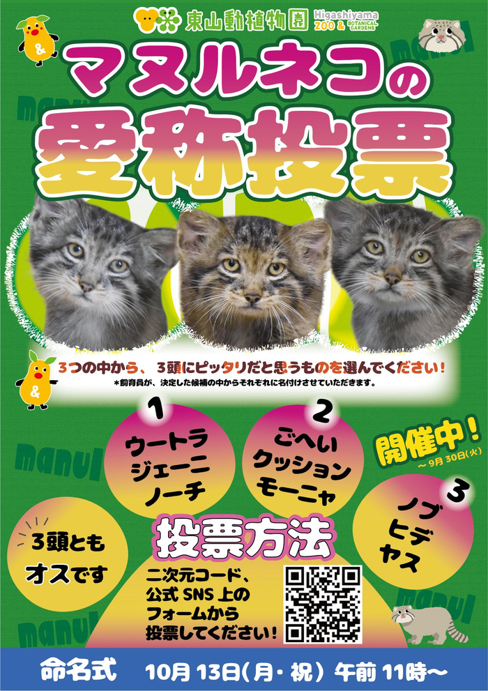 Для голосования отсканируйте QR. Старт 2 сентября