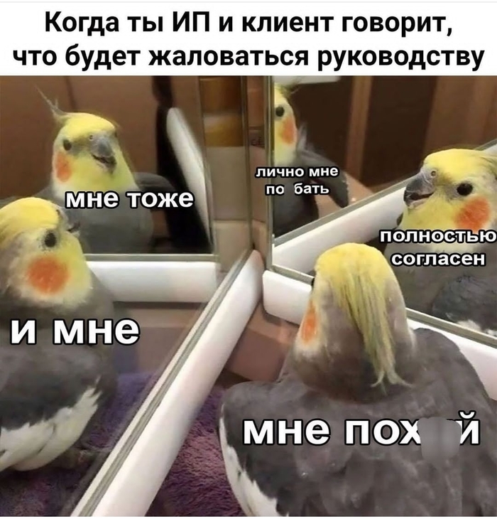 -    [:|||:] ,  ,   , ,  , , 