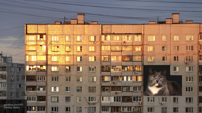     , , , Photoshop