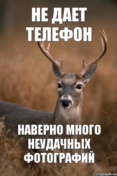     , , , ,  ,  ,   ,   
