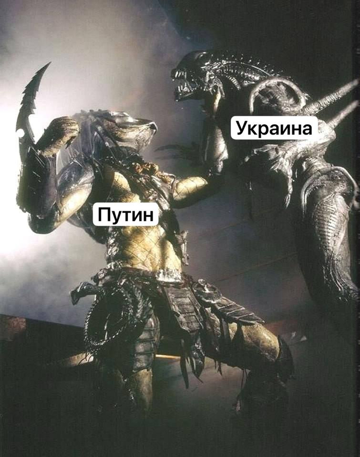   ,      , ,  , , ,  (), ,   ,    