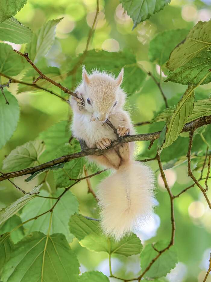   , ,  ,  , , , , 