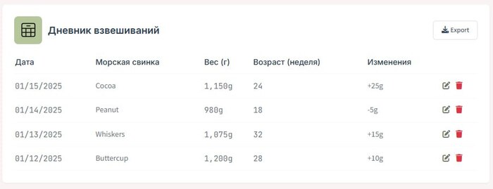          ,  , , , , , , IT, Javascript