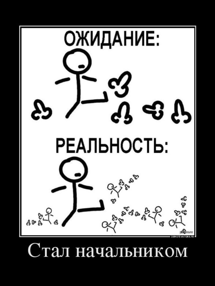       (    ) , , , , ,  ,  , , , , , ,  , Telegram ()