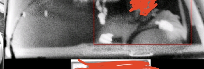      ,  , , 