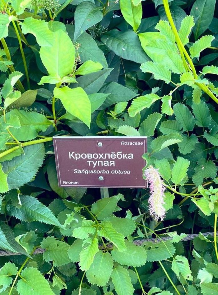 Теперь мы знаем, как переименовать в телефоне начальника, который наваливает просьбы по работе в выходной