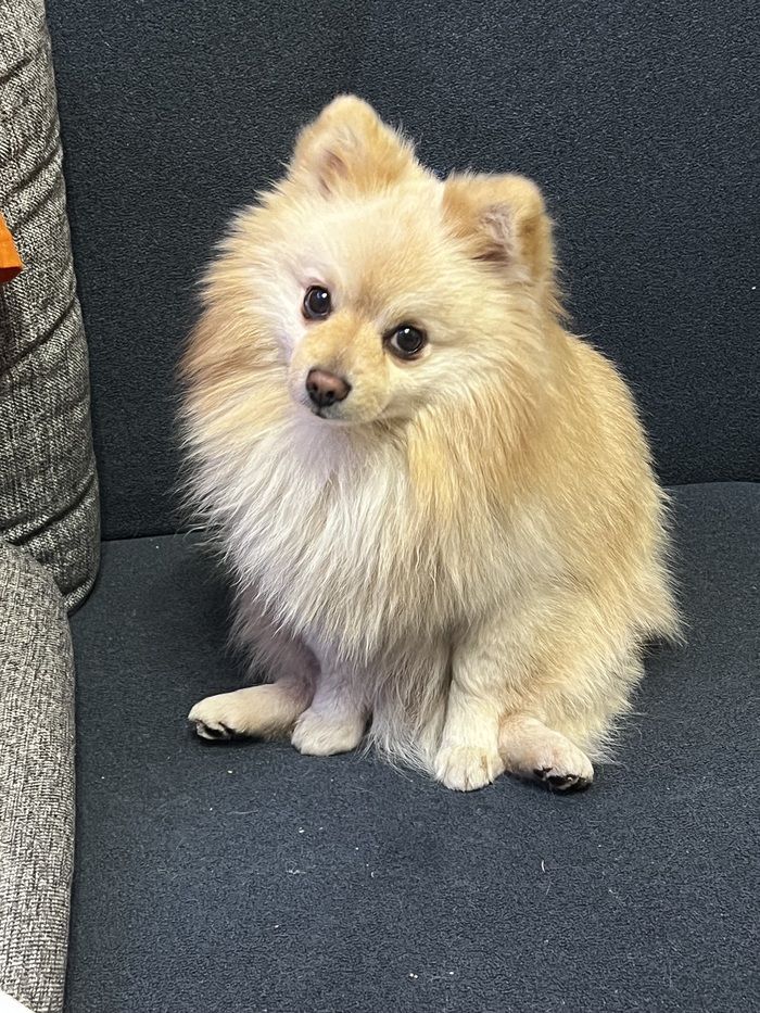 ������ ������ (�� �� ������, ��������, �� �������) 