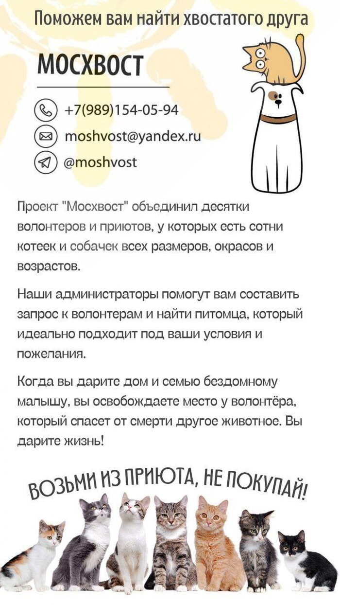   ,  ,  , ,  , , , , , , ,    ,   , , ,   , , , , 