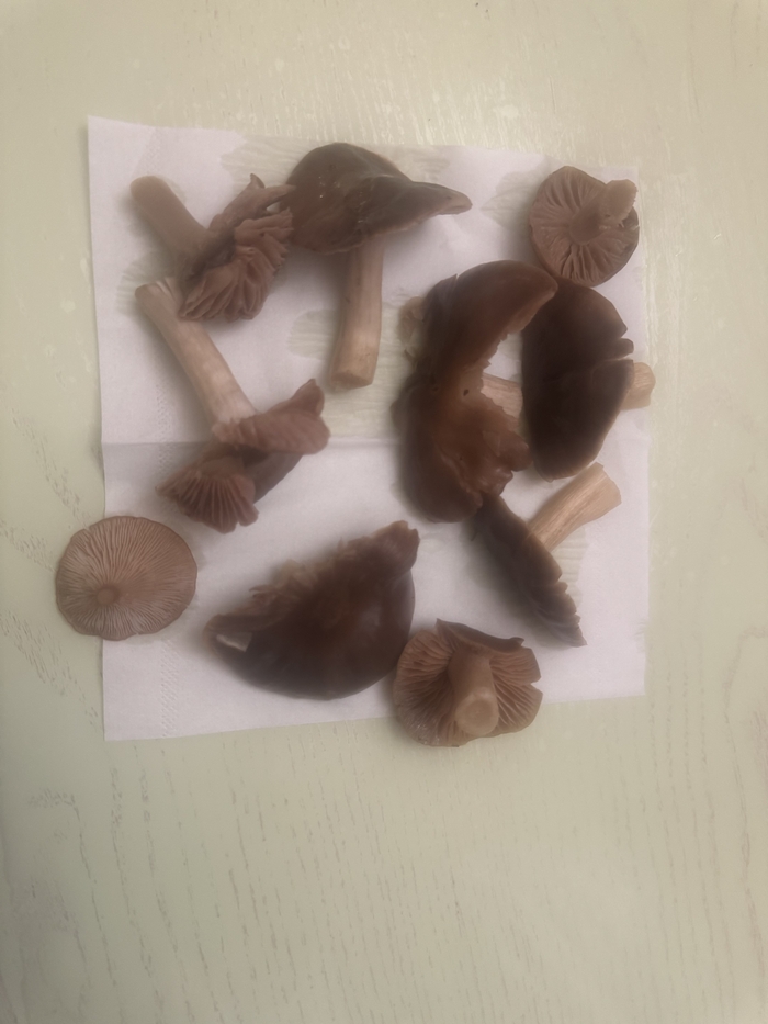 ��������! ��� �� �����?