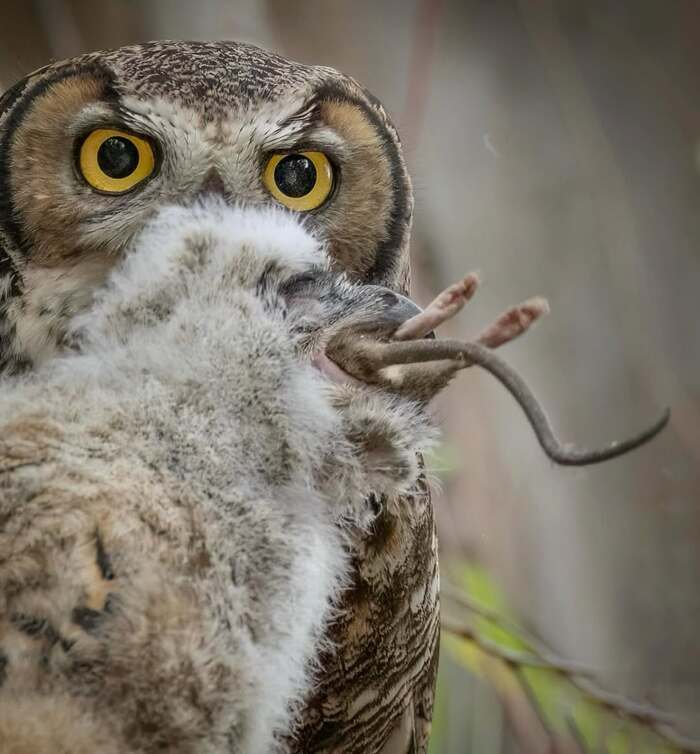 ,  ,  , , , ,  ,  ,  ,  , , , 