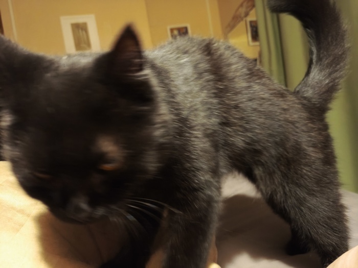   ,  , , , , , 