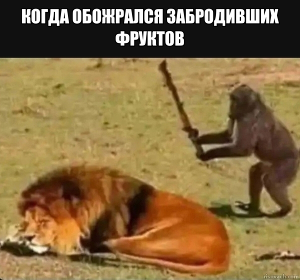 , Telegram (),   , , 
