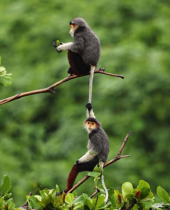     , , ,  ,  , 