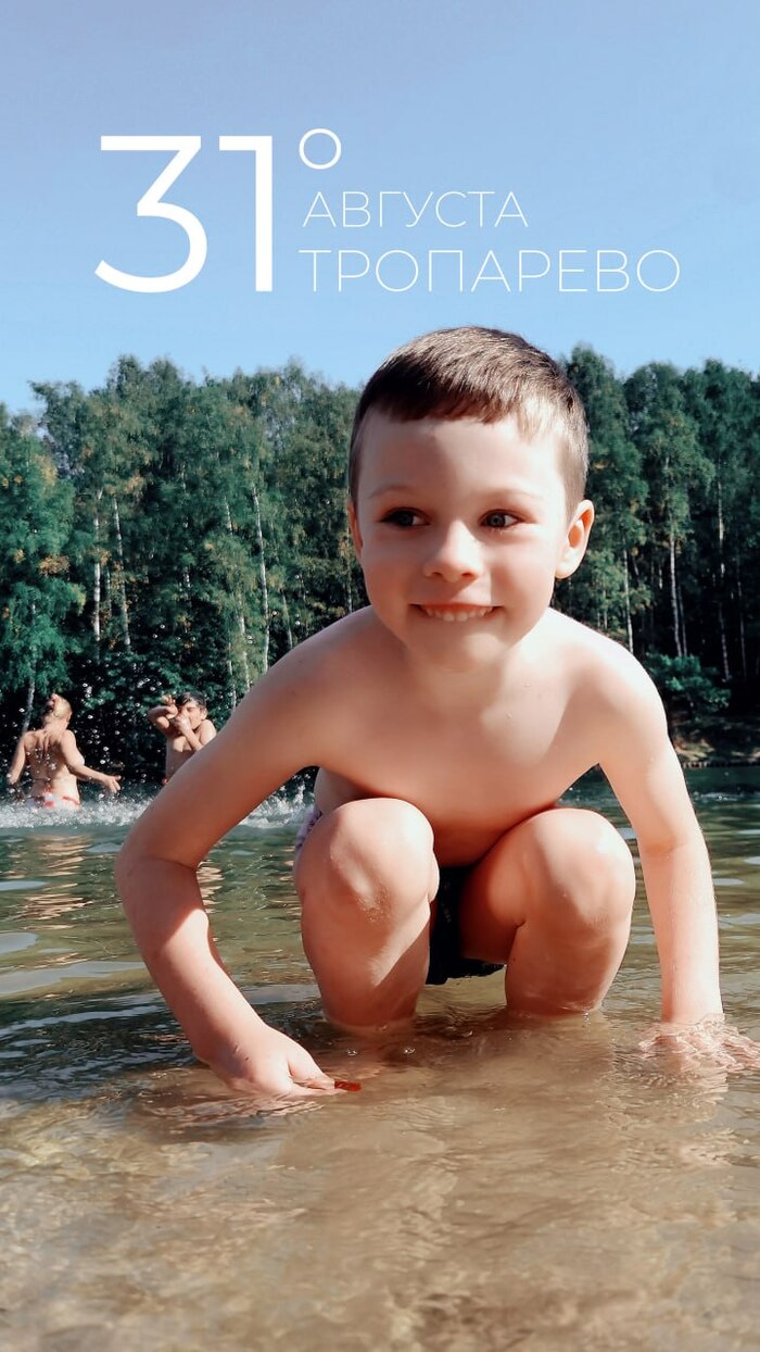  31  , ,  , 