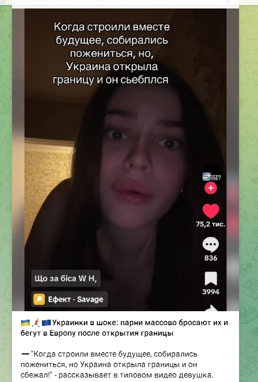     , , , TikTok, , ,   , , , Telegram ()