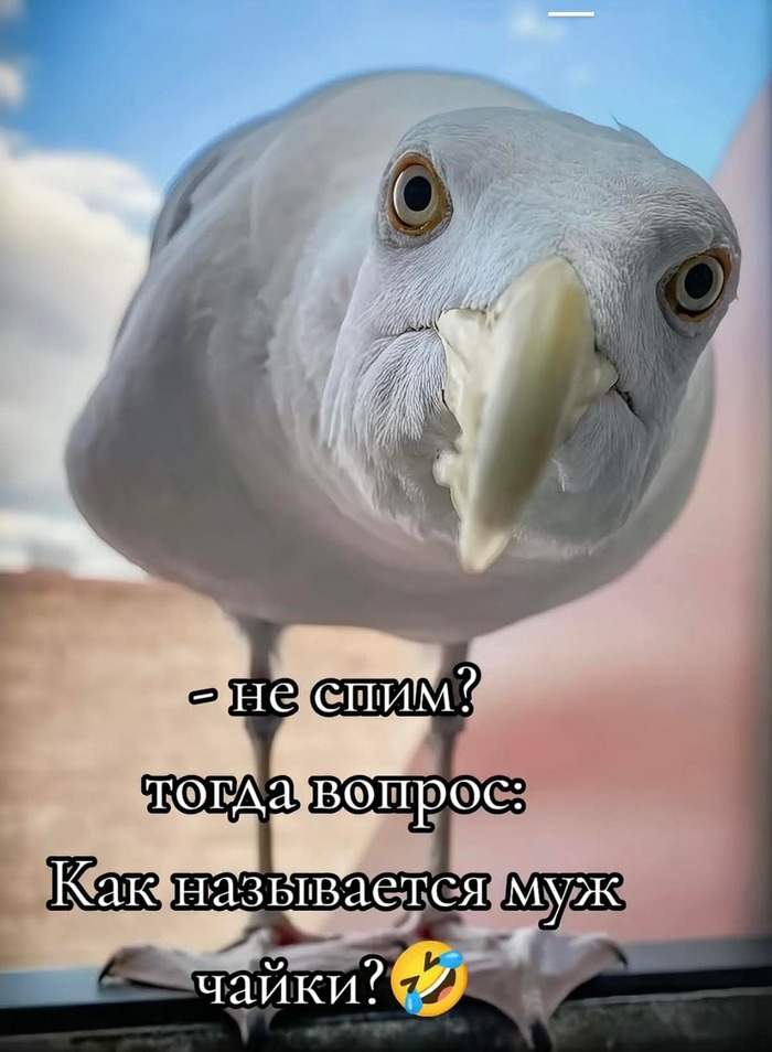  ?   , , , 