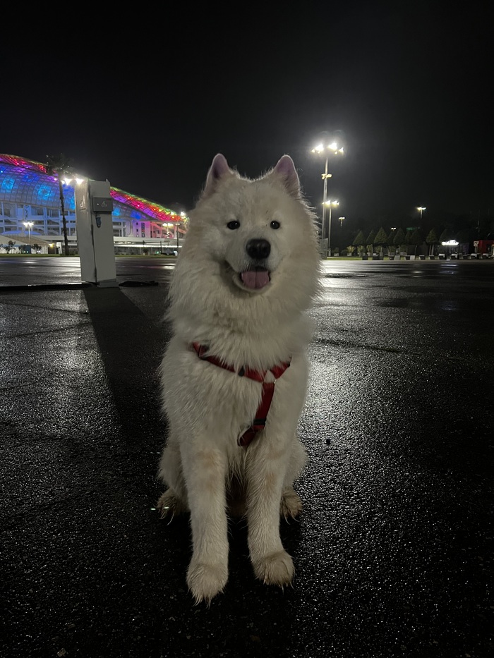 ��������� ����������� ����