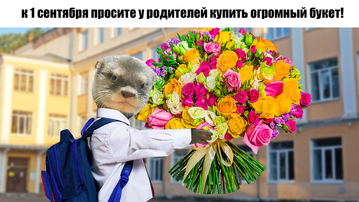    1    , , , ,   , , , , , 1 , , , ,  , , , , , 