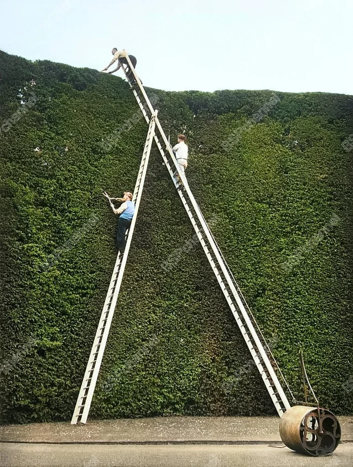 Любопытные фотографии из прошлого Великобритании. 20 раскрашенных фотографий ХХ века. Часть 22 20 век, Историческое фото, Старое фото, Фотография, Великобритания, Англия, Лондон, Колоризация, Длиннопост