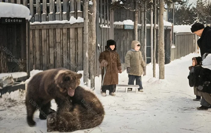 Подборка простых и потрясающих фотографий эпохи СССР. 20 раскрашенных фотографий. Часть 29 20 век, Старое фото, СССР, Детство в СССР, 70-е, 60-е, 50-е, 80-е, Фотография, Колоризация, Длиннопост, Аэробика