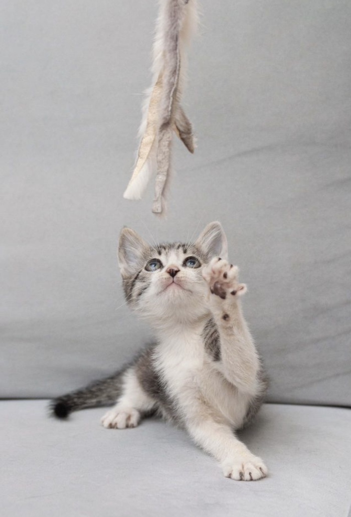   , ,   ,   ,  ,  , , , ,  , 