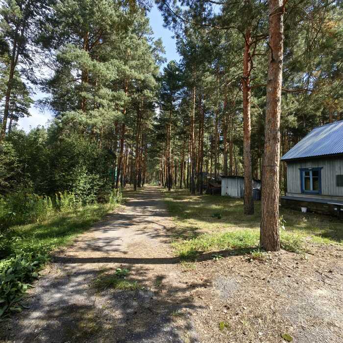 нырок в молодость the end