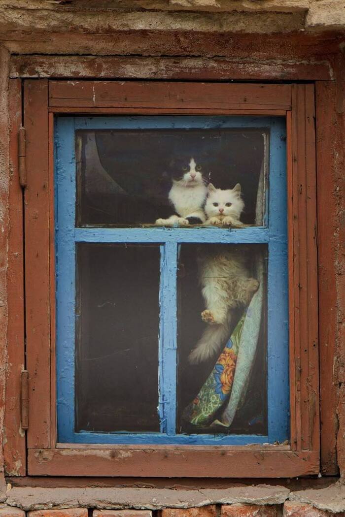   , , , 