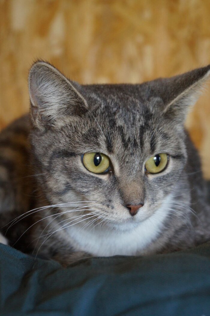 ������ ��� �������� ����� � ������� � ��������. ������������ ������ ����� ���. ����� �������, �������������. ������ ����� � ������� ����. � ����� ��������. ����� ����� � �������� �������, �� ��� ��� �������� ���. �������������� �����������. �������� ����.