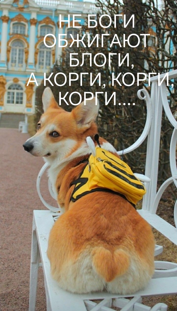    ,  , , ... ,   , , 